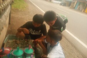 Seorang pembeli tengah memilih ikan hias di lapak pedagang pinggir jalan di Kabupaten Blitar.