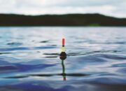 5 Tempat Pemancingan di Kediri yang Nyaman dan Terjangkau, Cocok untuk Mengisi Waktu Luang