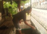 Pedagang Ikan Hias Raup Omzet Puluhan Juta Jelang Akhir Tahun di Blitar